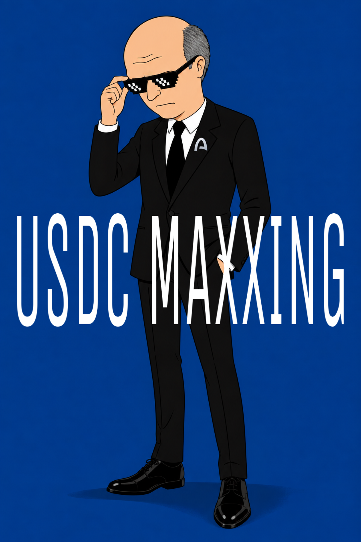 Joromy adjusting pixel shades with "USDC MAXXING" text